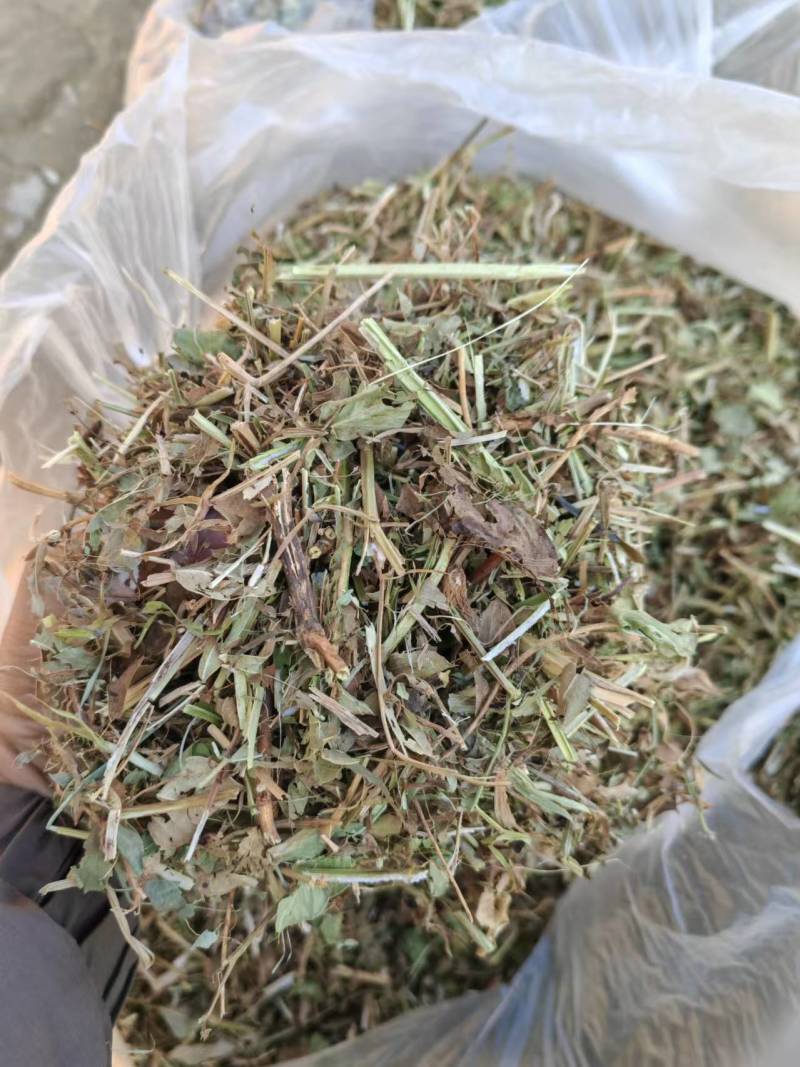 花生秧