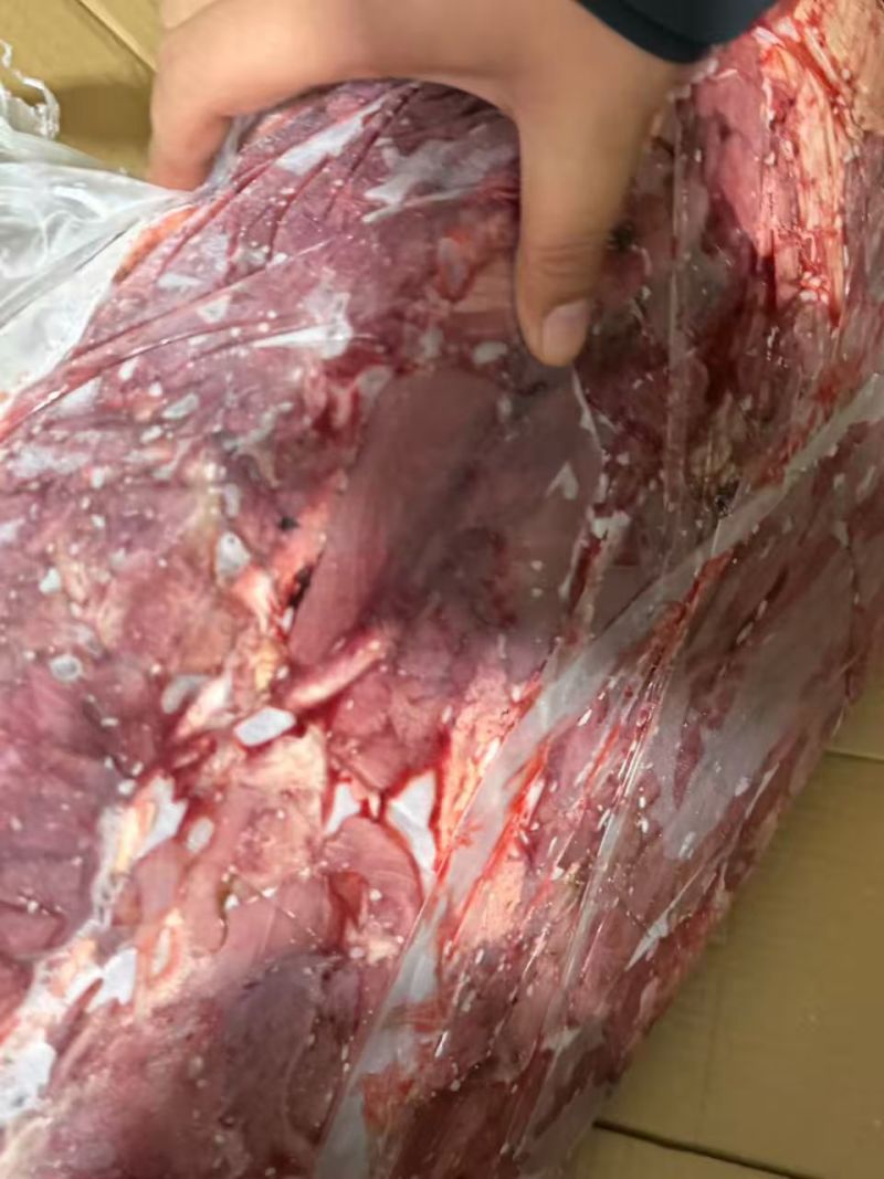 牛肉五分体