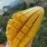 越南水果大青芒一件代发。一手代办。