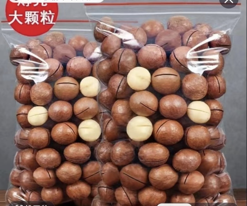 2015新品夏威夷果，2000顿精品果原产批发，电商代发