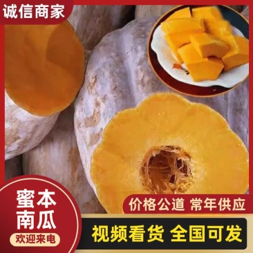 四川大凉山秘本南瓜赖子南瓜金香南瓜甜南瓜