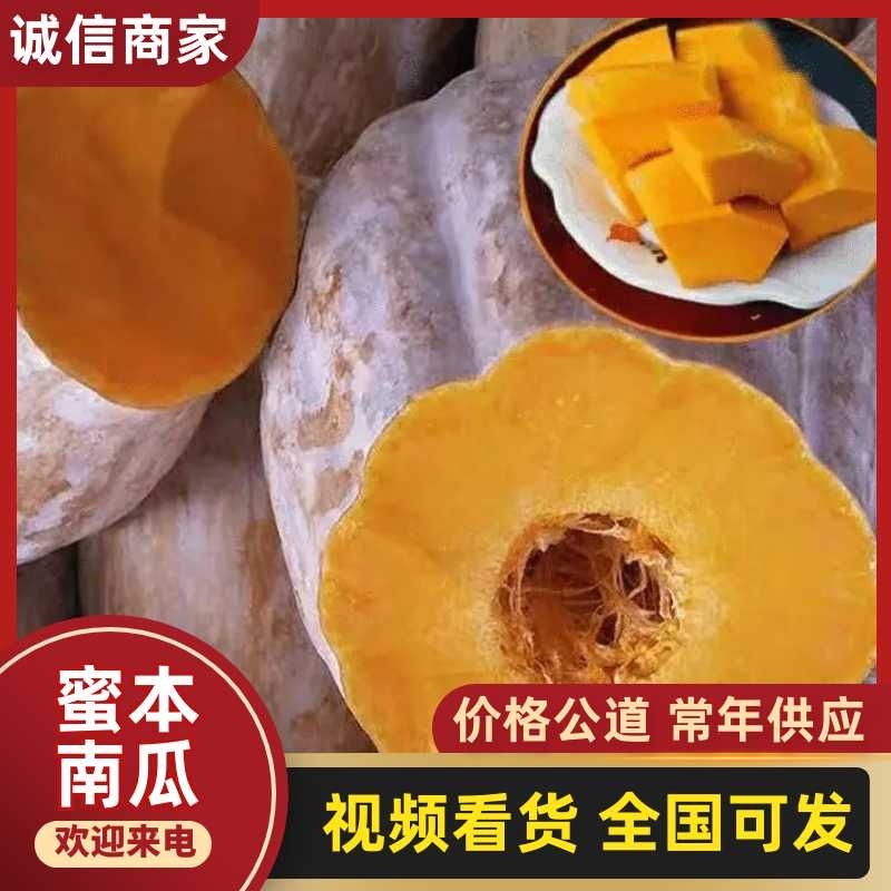 四川大凉山秘本南瓜赖子南瓜金香南瓜甜南瓜