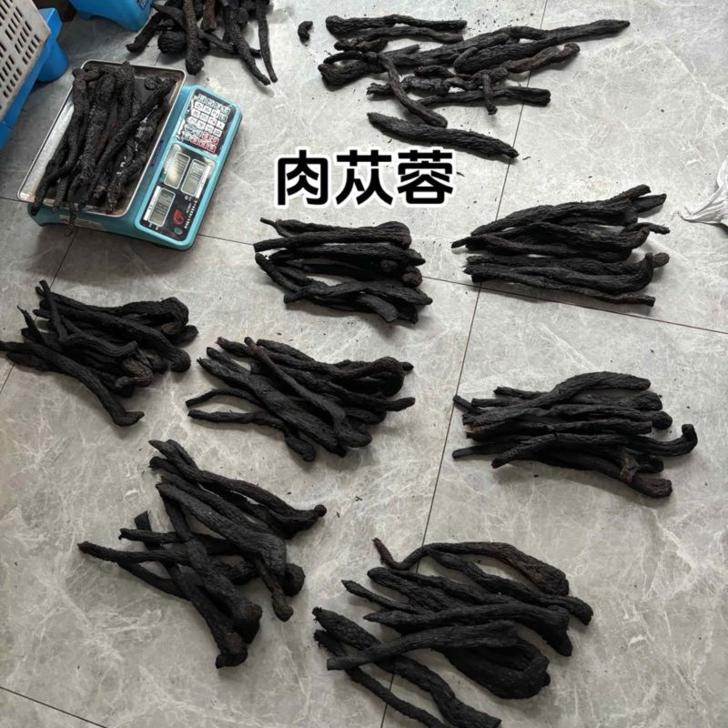 肉苁蓉阿拉善野生肉苁蓉沙漠黄金滋补珍品天然无污染品质保证