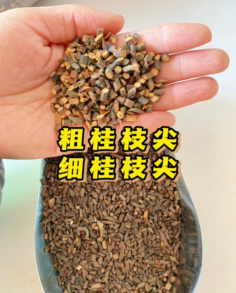 桂枝桂枝尖桂枝片规格齐全品质优良货真价实产地直销
