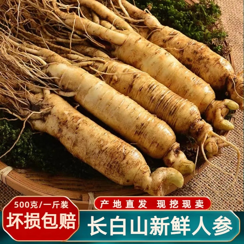 【正宗长白山鲜人参】现挖现售产地直发批发