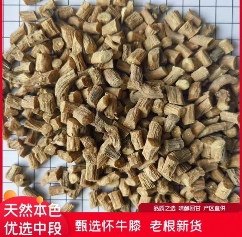 怀牛膝上品药材品质保证价格实惠诚信经营一手货源规格齐全