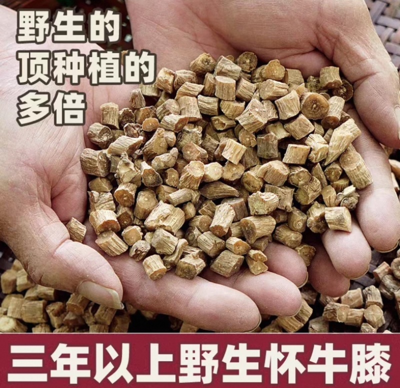 怀牛膝上品药材品质保证价格实惠诚信经营一手货源规格齐全