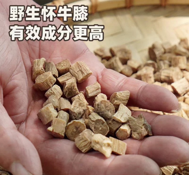 怀牛膝上品药材品质保证价格实惠诚信经营一手货源规格齐全