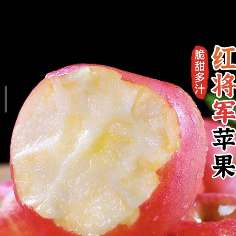 红将军苹果大量有货基地直供现摘现发品质优可对接市场商超