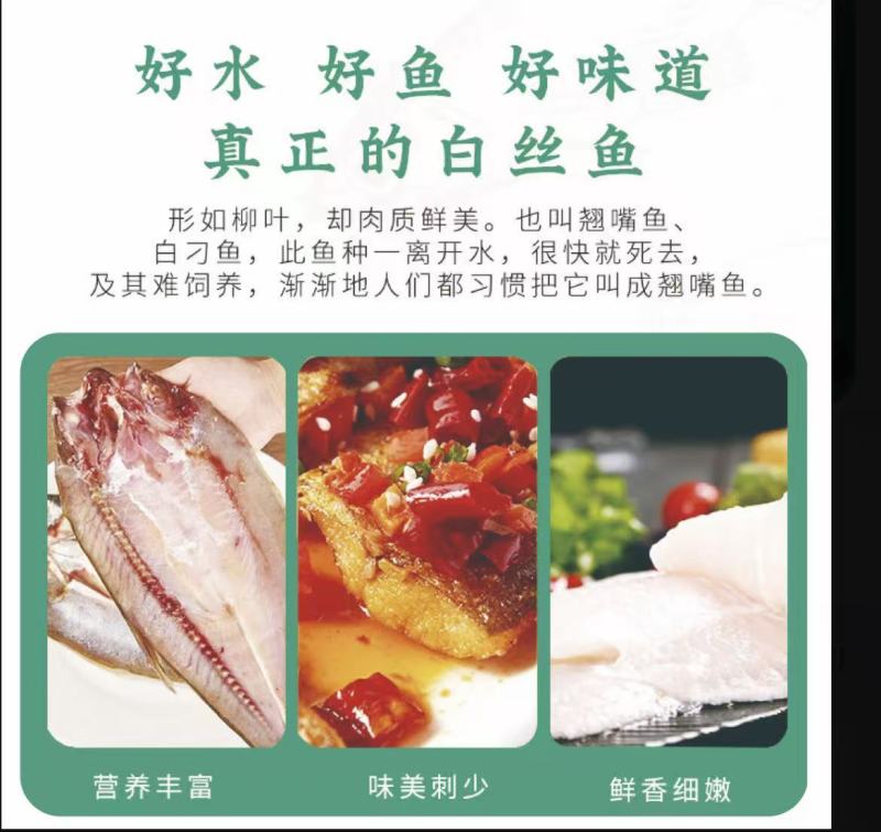 安井翘嘴白鱼冰鲜开膛去脏单独包装厂家直发保质保量