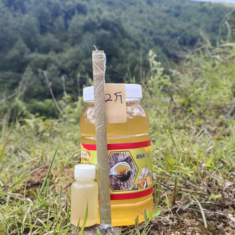 蜂蜜百花蜜一瓶2斤装，包邮，一件代发批发
