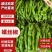 精品螺丝椒货量充足山东辣椒费县产地直发品种齐全