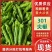 301尖椒精品辣椒一手货源牛角椒鲜辣椒全国发货