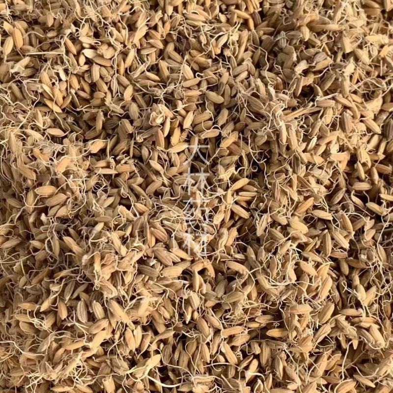 谷芽【包邮】三斤起发货可批量可零售量大从优