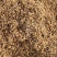 谷芽【包邮】三斤起发货可批量可零售量大从优
