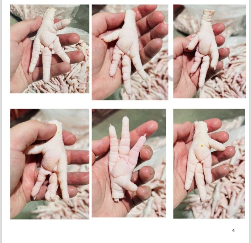 冷冻凤爪40-45克，标准等级