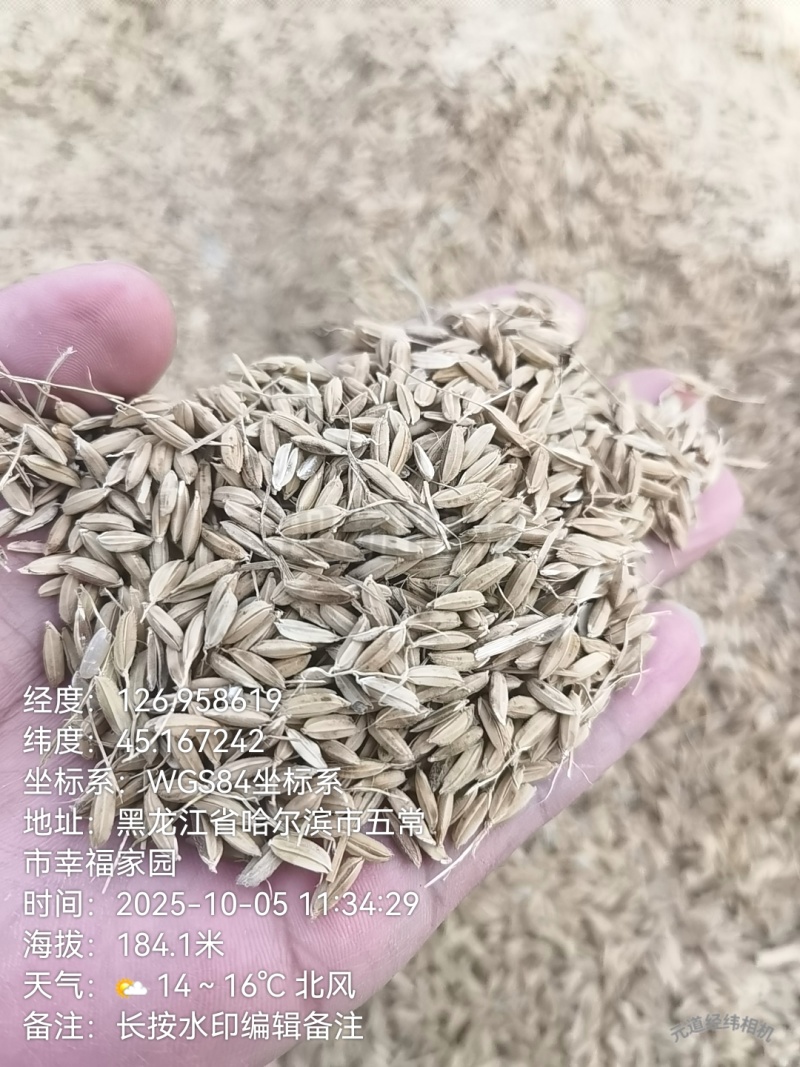 真真正正自家五常大米