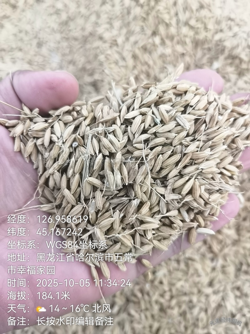 真真正正自家五常大米
