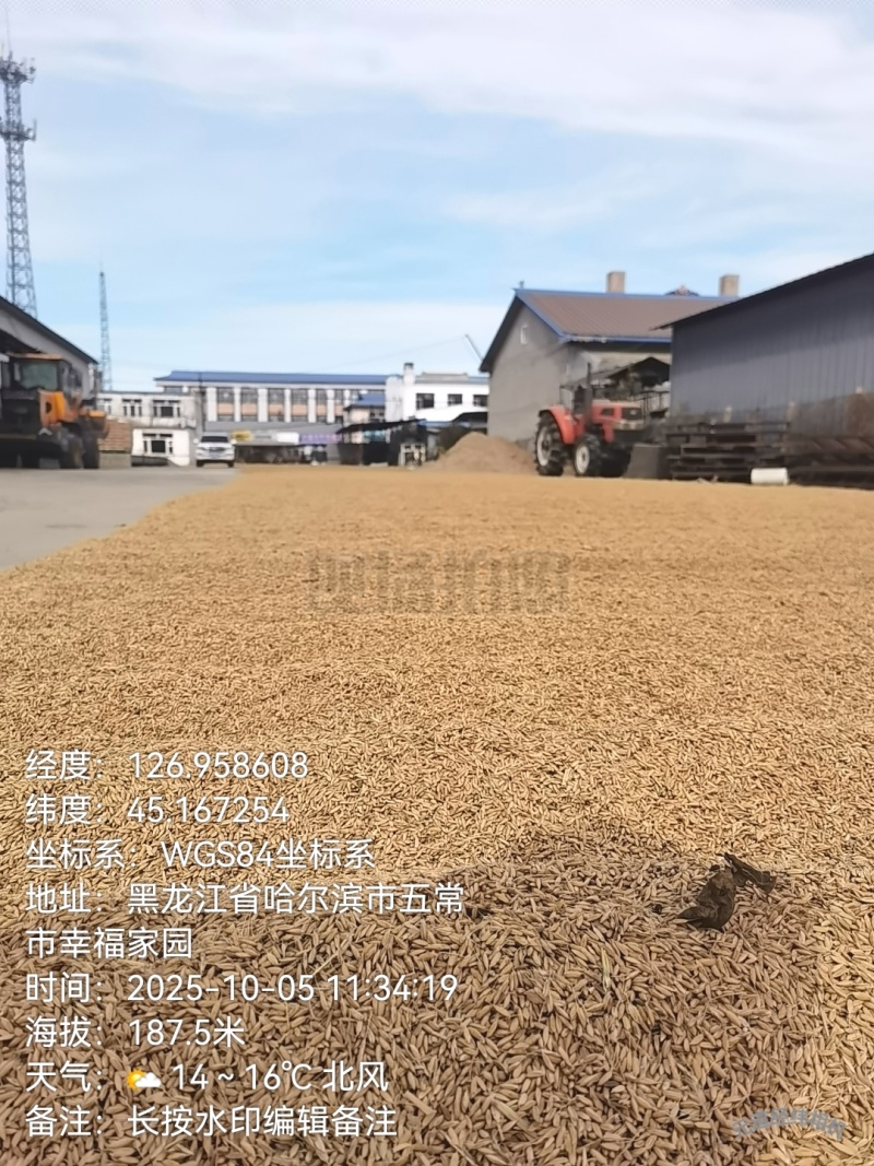 真真正正自家五常大米