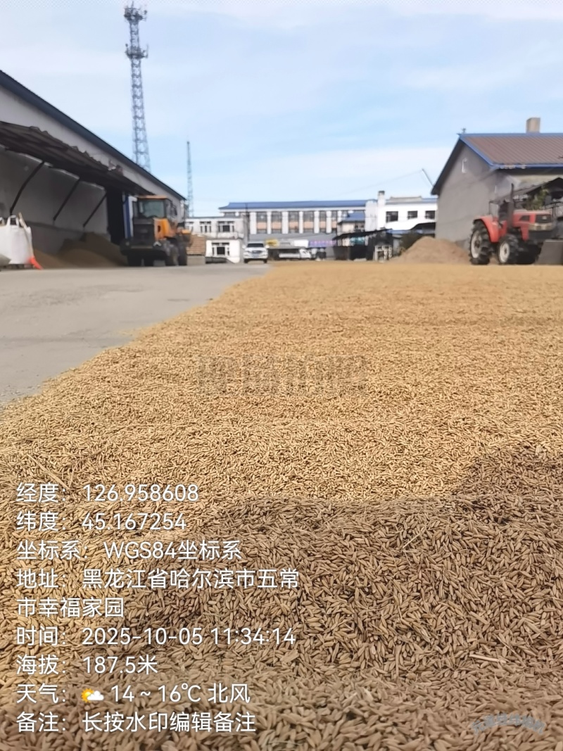 真真正正自家五常大米