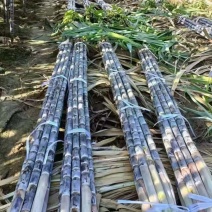 甘蔗黑皮甘蔗脆甜可口节长多汁现砍现发一手货源