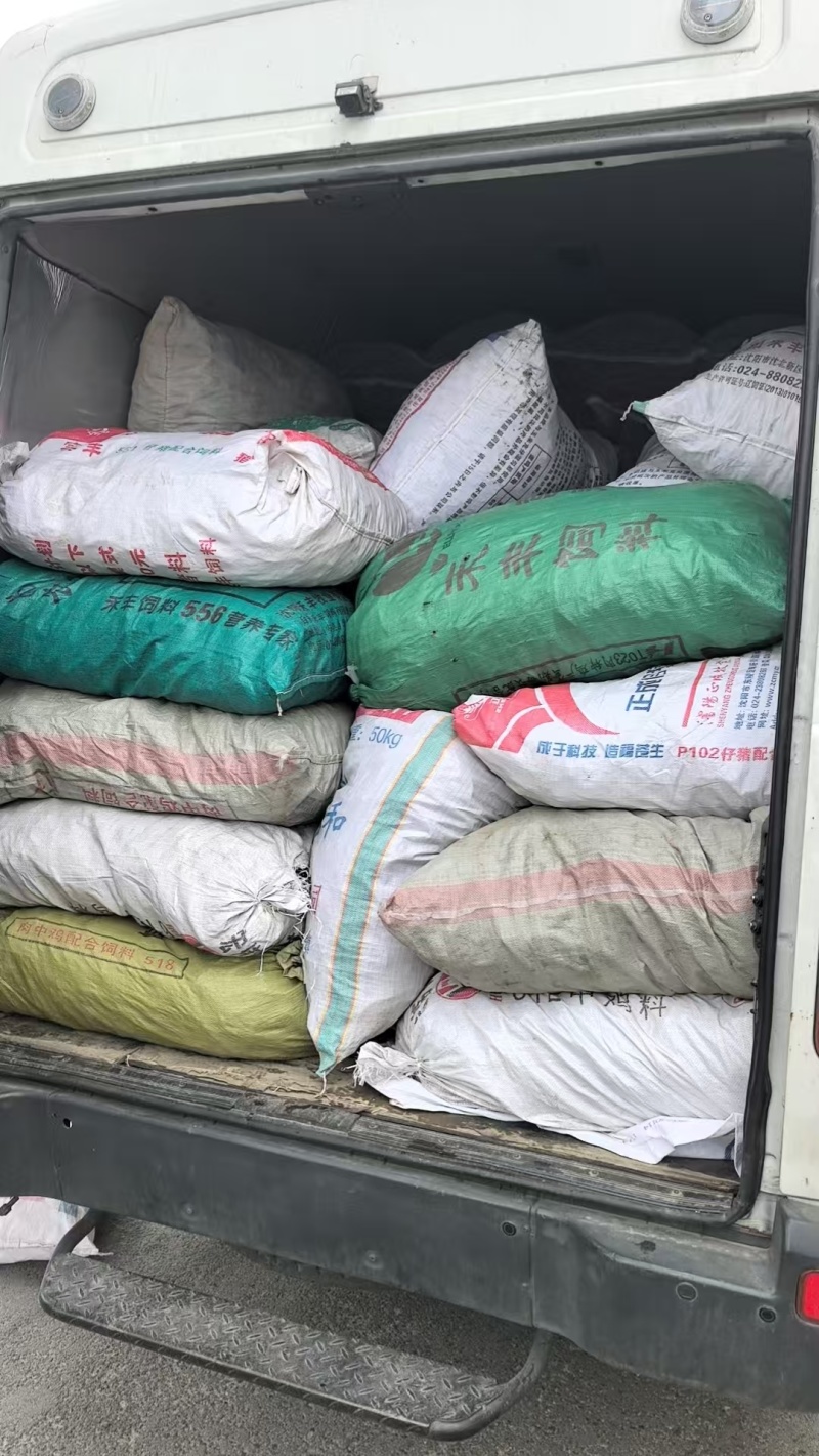 紫袍豆角大量上市