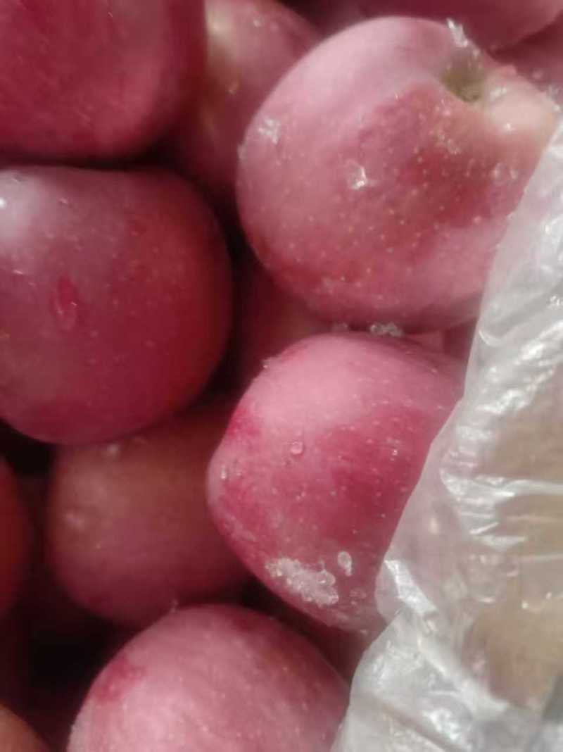 静宁县红富士大量上市欢迎采购有需要的电联
