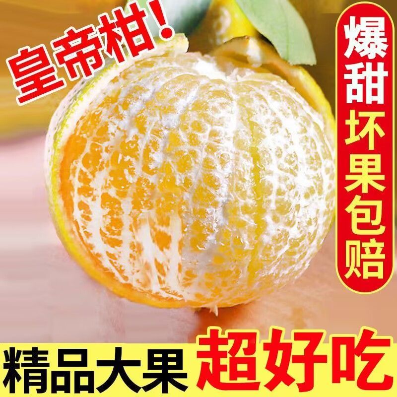 广西皇帝柑一件代发