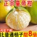 广西皇帝柑一件代发