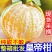 广西皇帝柑一件代发