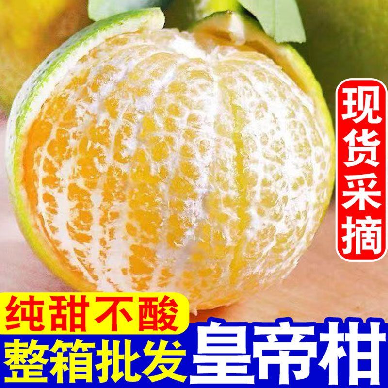 广西皇帝柑一件代发