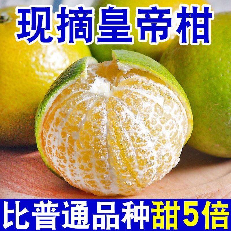 广西皇帝柑一件代发