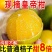 广西皇帝柑一件代发