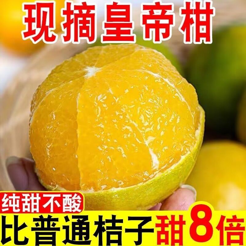 广西皇帝柑一件代发