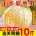 广西皇帝柑一件代发