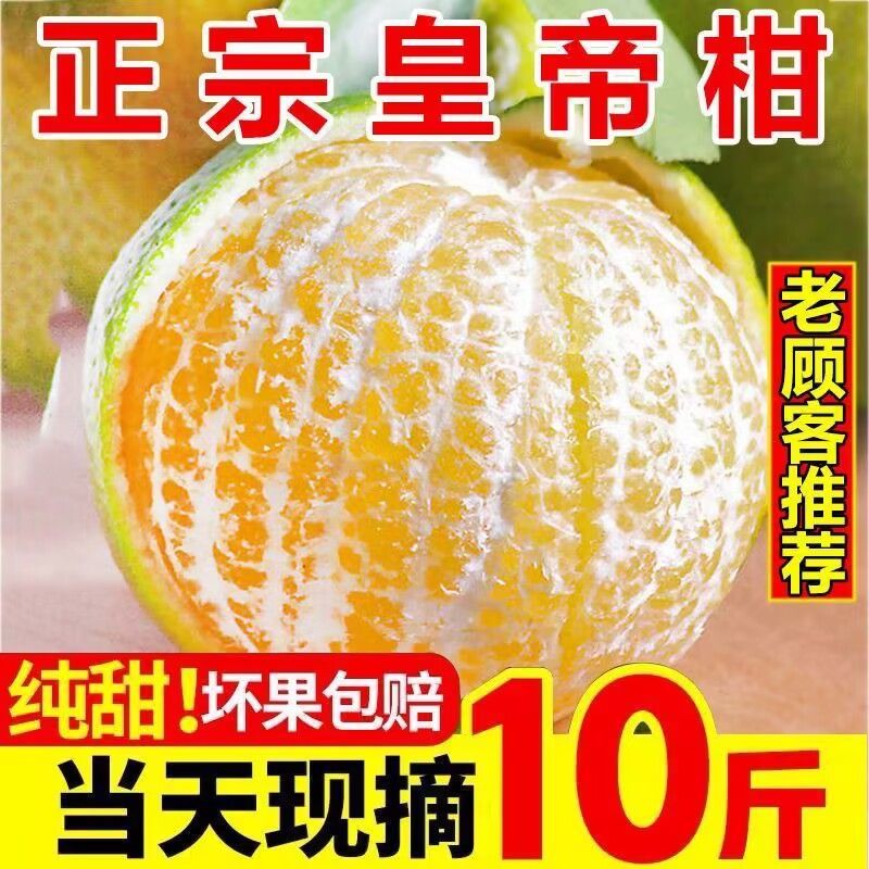 广西皇帝柑一件代发