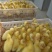 大种三花白鹅苗，80天可以长8.5斤左右