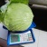 先干802平包莲花白