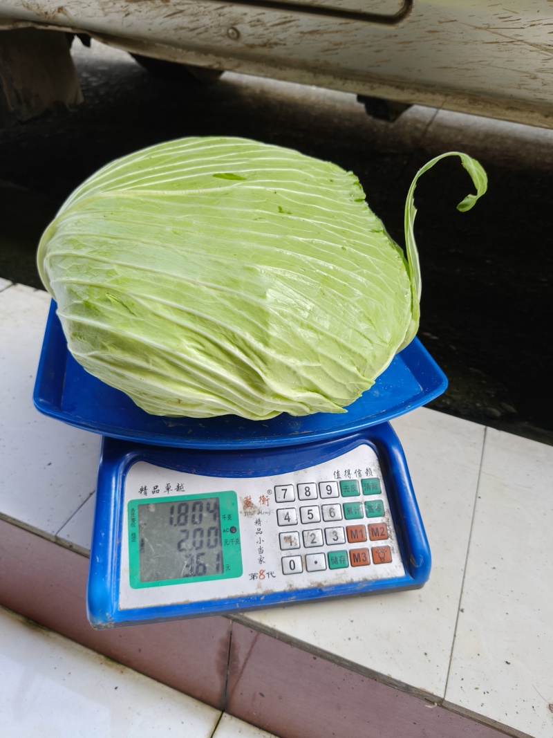先干802平包莲花白