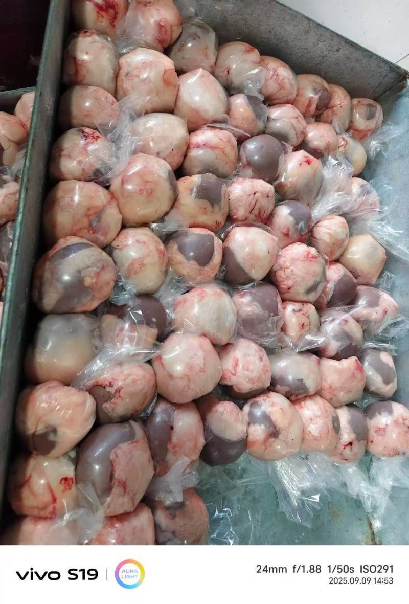 荷包蛋羊腰，原油羊腰，锡盟工厂直销，保质保量，全国发货