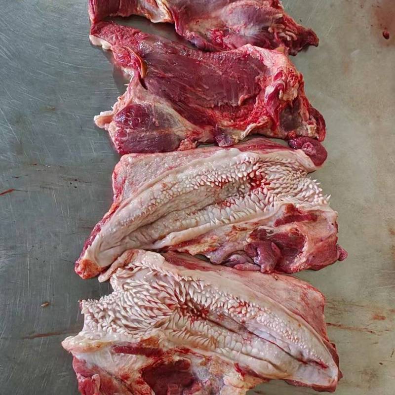 【锡盟厂家直销】牛腮肉，牛嘴叉，全国发货，检疫手续齐全
