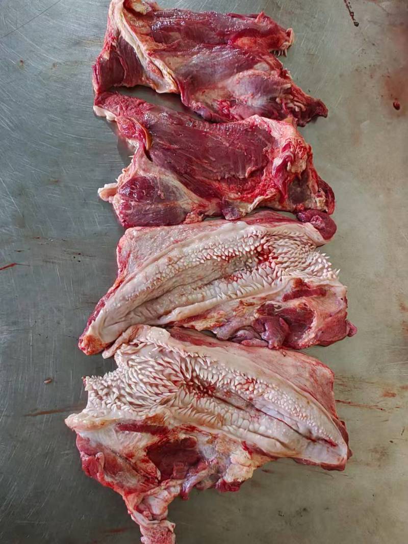 【锡盟厂家直销】牛腮肉，牛嘴叉，全国发货，检疫手续齐全