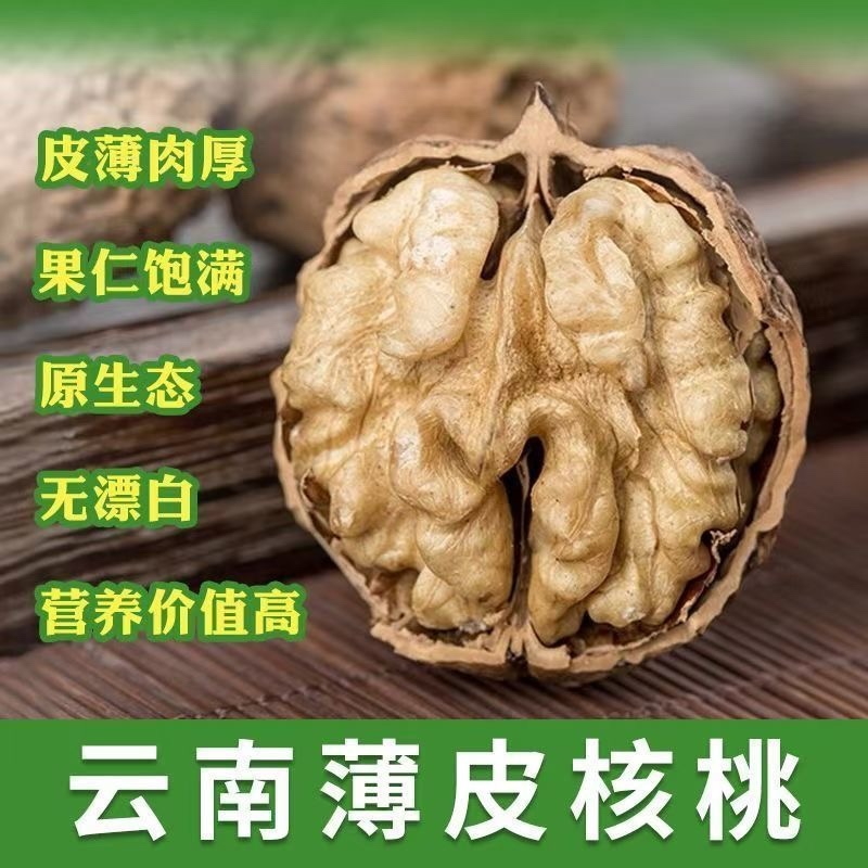云南老树核桃产地直发