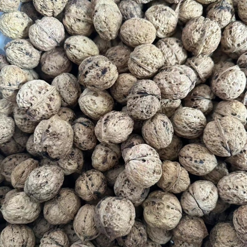 云南老树核桃产地直发