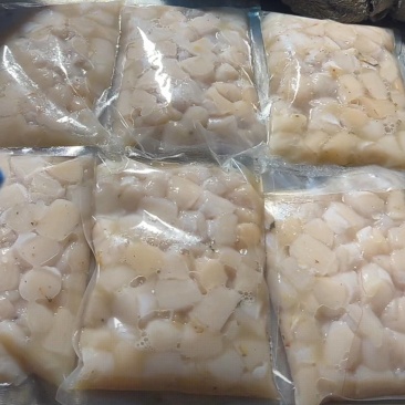 原浆扇贝丁扇贝柱