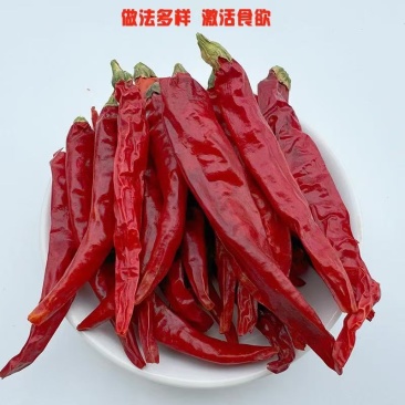 朝天椒干辣椒特辣特香全干去湿一手货源欢迎咨询