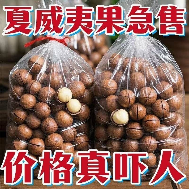 夏威夷果电商一件代发拼多多抖店24小时揽收发货