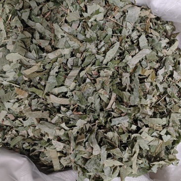 淫羊藿