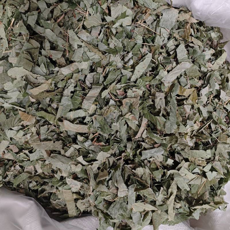 淫羊藿