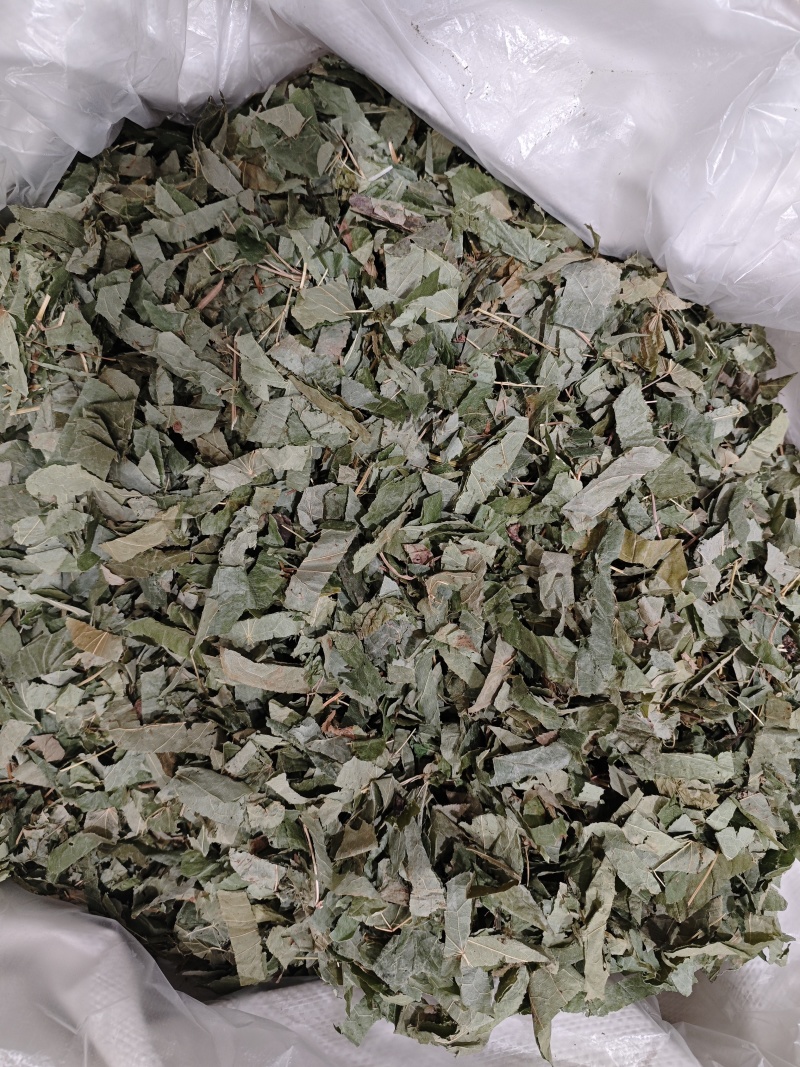 淫羊藿